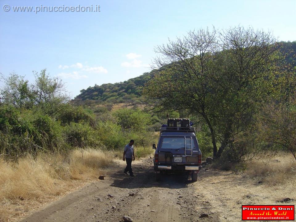 Ethiopia - Netch Sar Park - 05 - Nechisar National Park.jpg